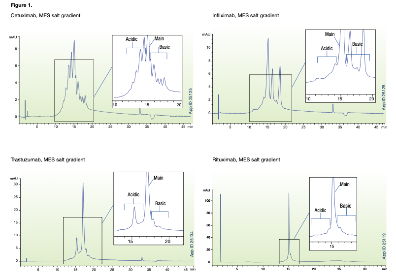 Salt Gradient Chromatograms of 4 mAbs
