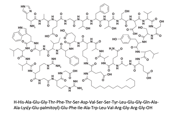 Figure 1 - Liraglutide Chemical Structure