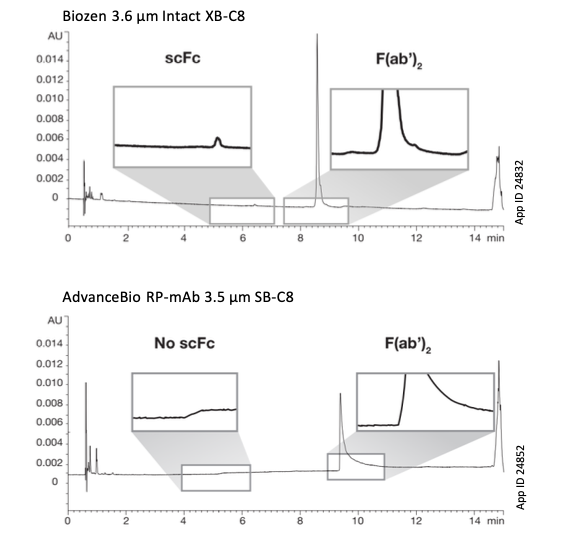 Cetuximab IdeS Digestion Analysis