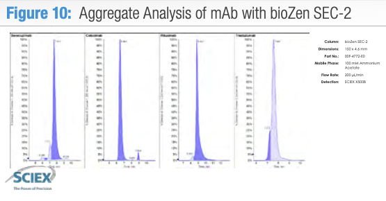 SEC Dimer Analysis Result