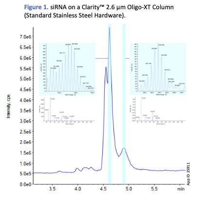 siRNA on Standard Stainless Steel Hardware