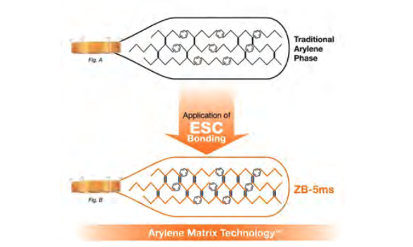 Figure 1. Differences between Traditional Arylene Phase and Arylene Matrix Technology (AMT).