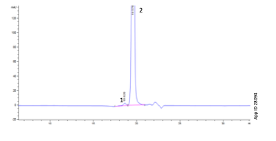 Figure 2 - Zoomed-In Chromatogram