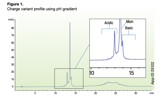 Charge variant profile using pH gradient