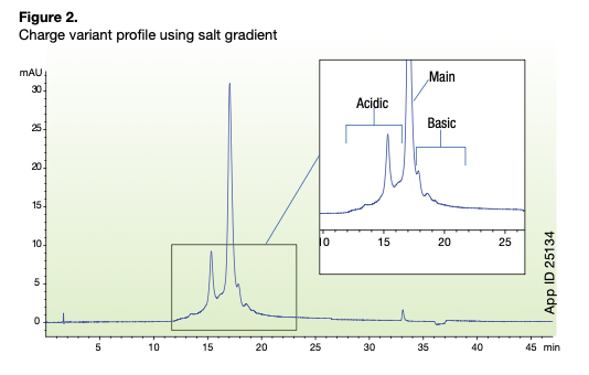 Charge variant profile using salt gradient
